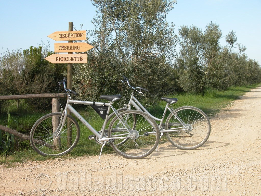 Agriturismo Volta di Sacco - le passeggiate in bicicletta in azienda