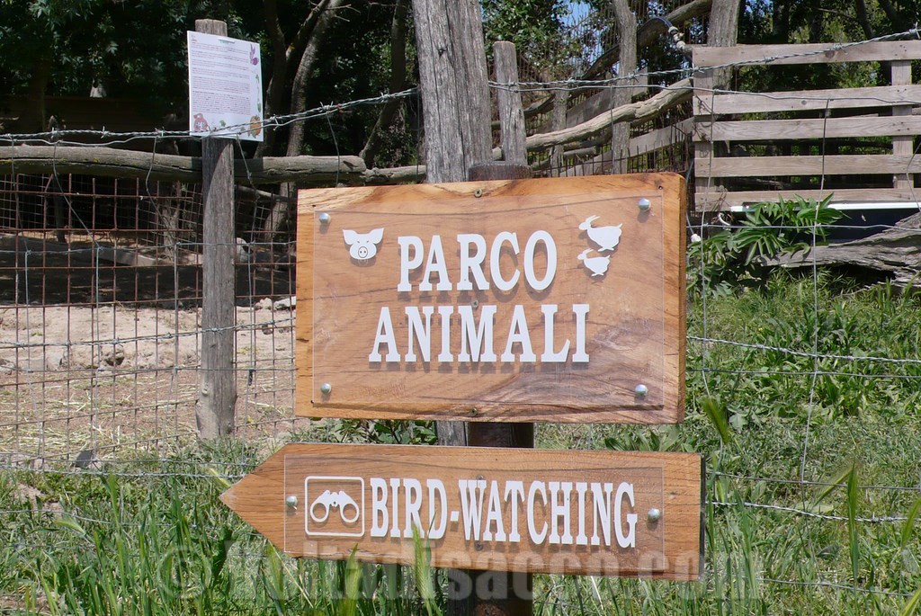 AgriturismoGrosseto Agriturismo Volta di Sacco - il parco animali